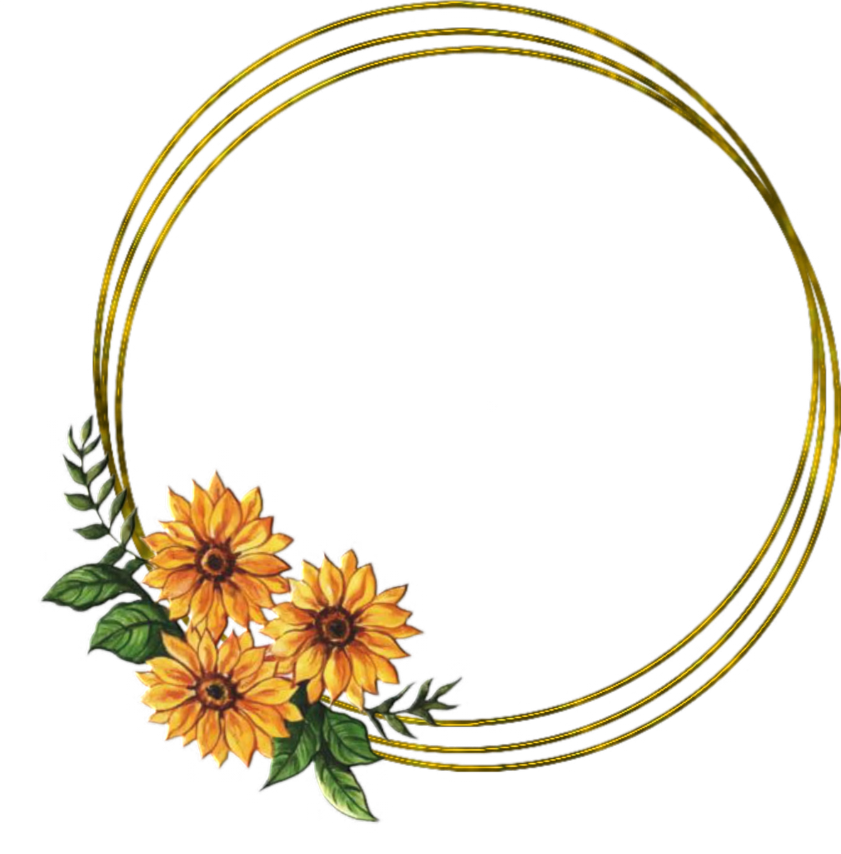 Flower Border Frame Illustration